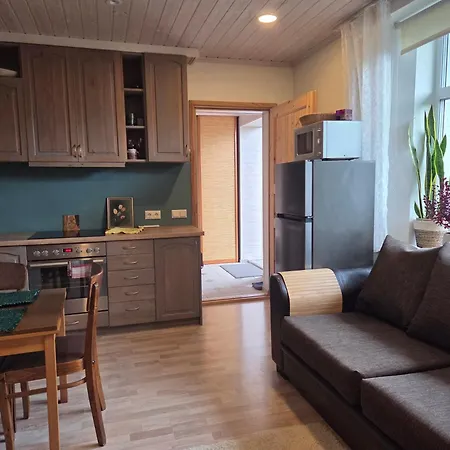 Suure Terrassiga Korter Raudteejaama Laehedal 아파트 빌얀디